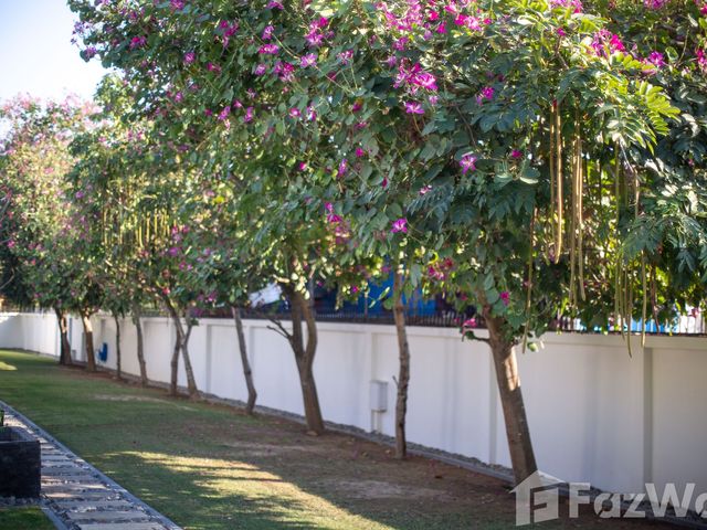 place photo 62