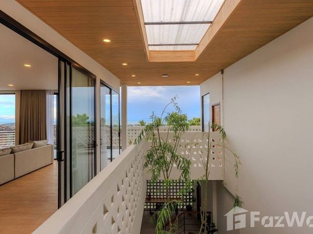 place photo 61