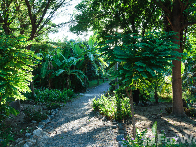 place photo 42