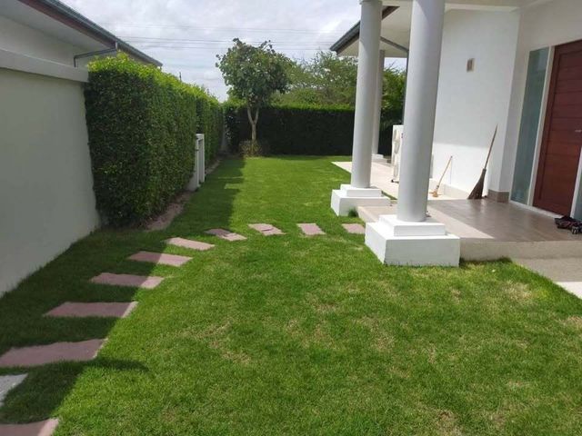place photo 23