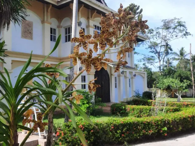 place photo 14