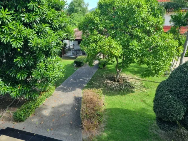 place photo 12