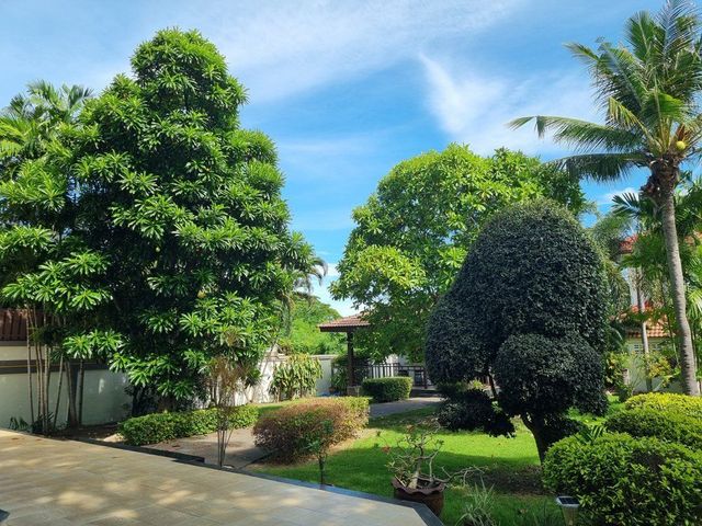 place photo 43