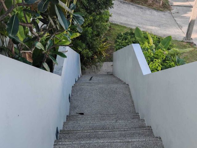 place photo 43