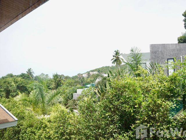 place photo 71