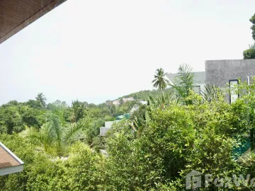 place photo 71