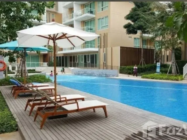 place photo 40