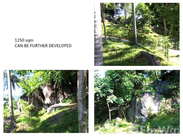 place photo 16
