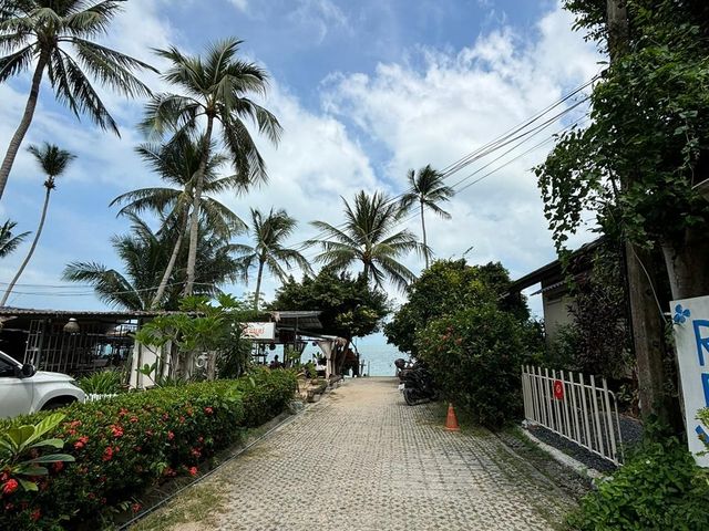 place photo 15
