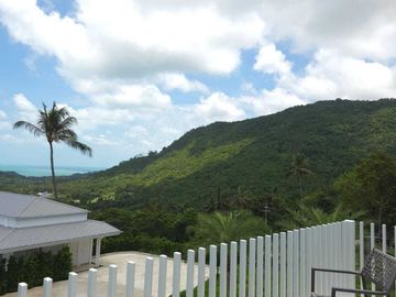 place photo 43