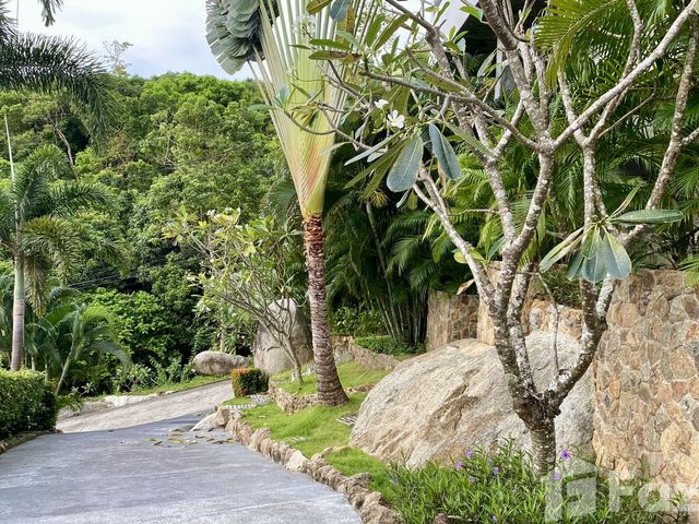 place photo 112