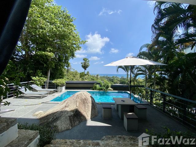 place photo 61