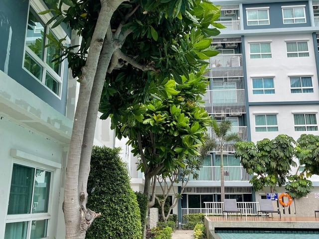 place photo 44