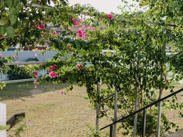 place photo 41