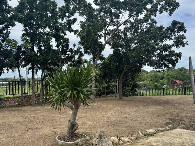 place photo 36