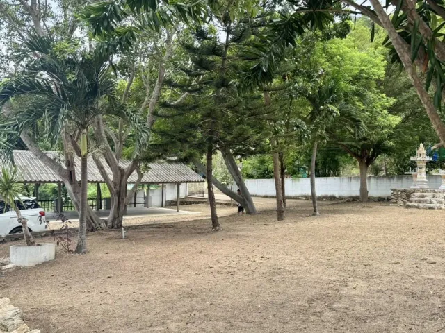 place photo 37