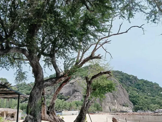 place photo 32