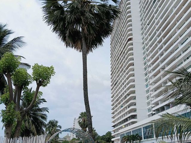 place photo 34
