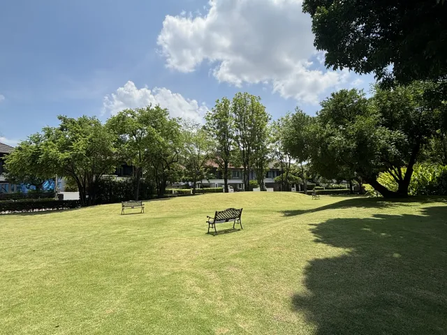 place photo 36