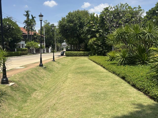 place photo 34