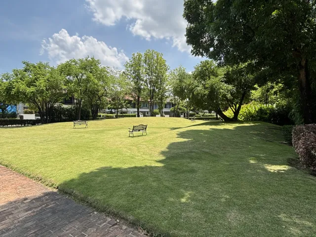 place photo 35
