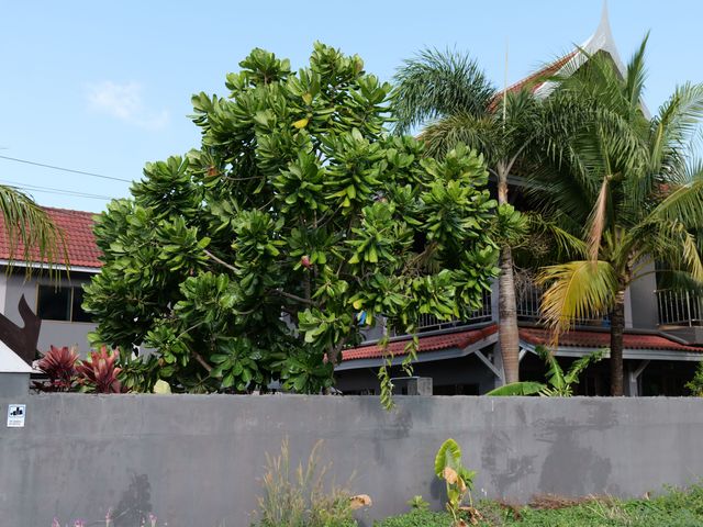 place photo 26