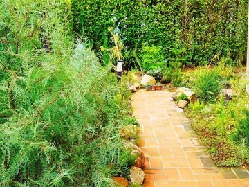 place photo 21