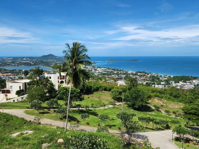 place photo 40