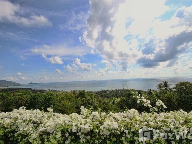 place photo 49