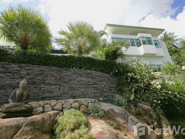place photo 57
