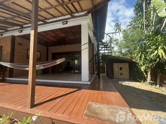 place photo 36