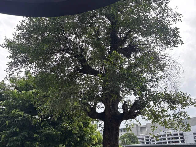 place photo 32