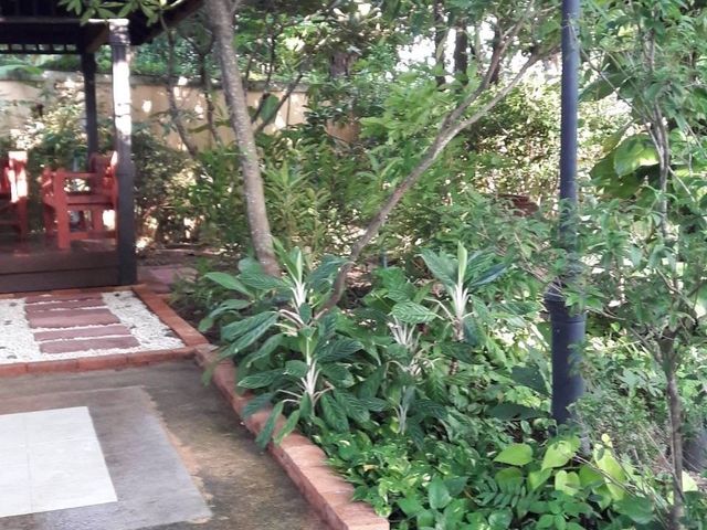place photo 47