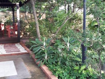 place photo 47