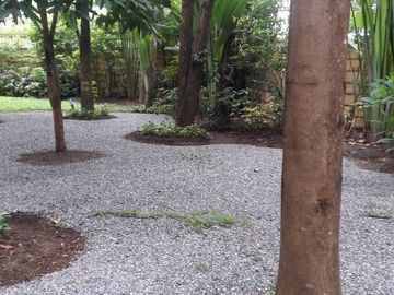 place photo 51