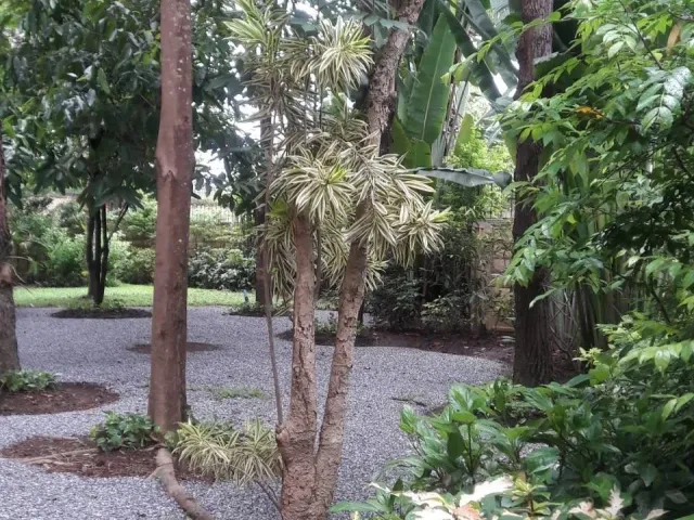 place photo 50
