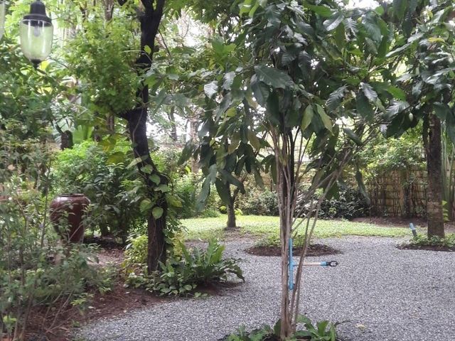 place photo 54