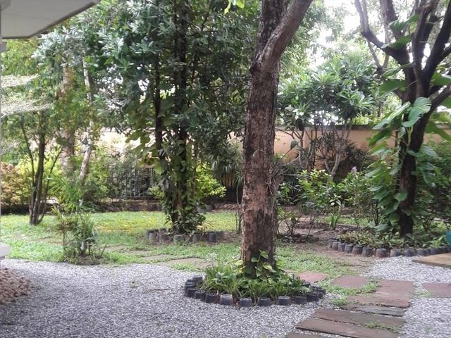 place photo 48