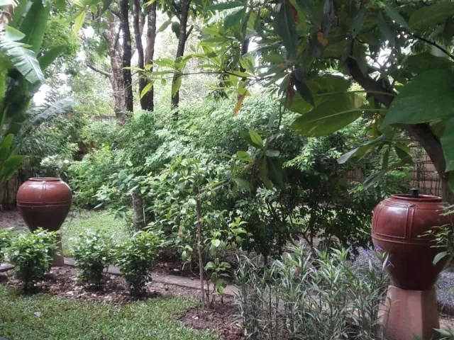place photo 57