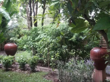 place photo 57