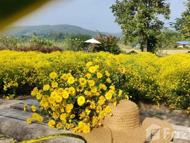 place photo 39