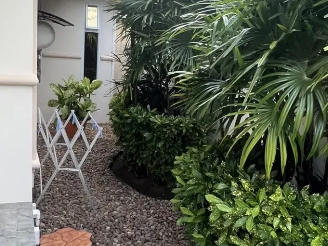 place photo 26