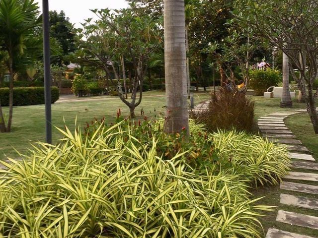 place photo 34