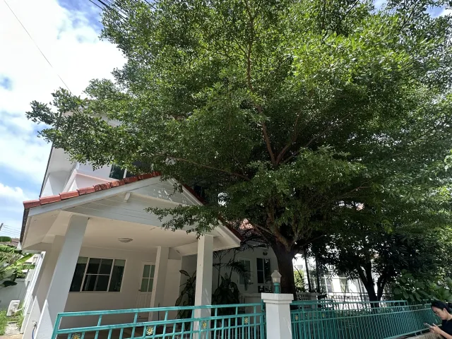 place photo 29