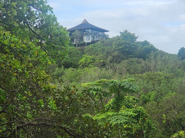 place photo 43
