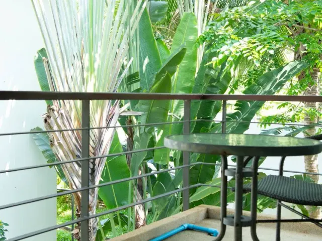 place photo 15