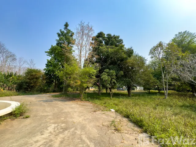 place photo 39
