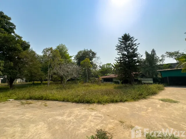 place photo 40