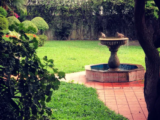 place photo 6