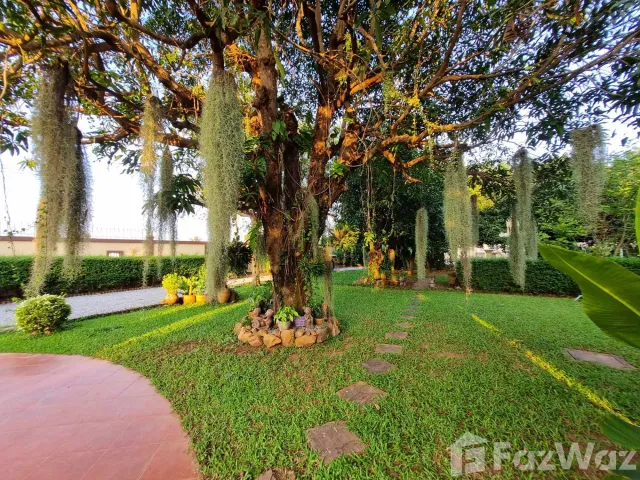 place photo 76